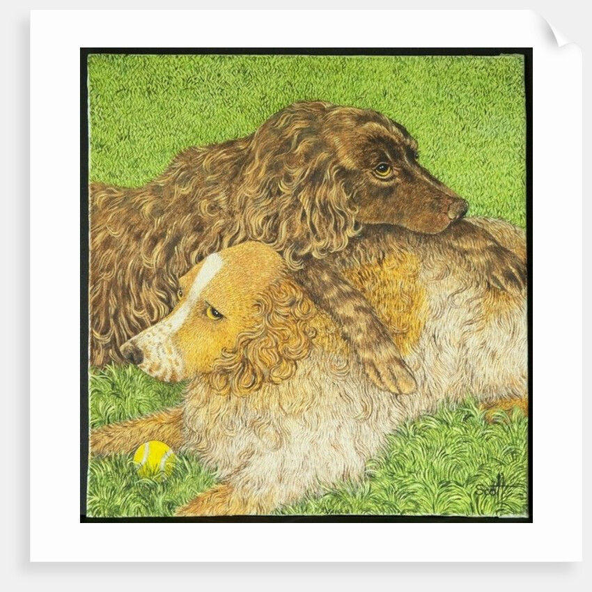 Possession by Pat Scott