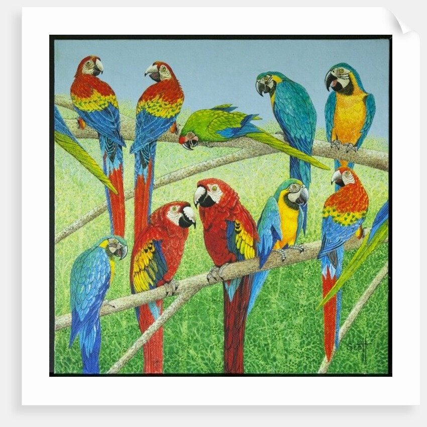 Spreading the news by Pat Scott