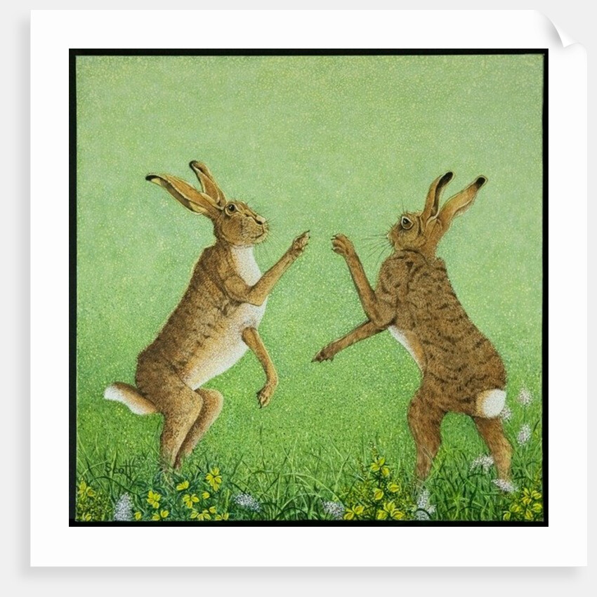 Boxing clever by Pat Scott