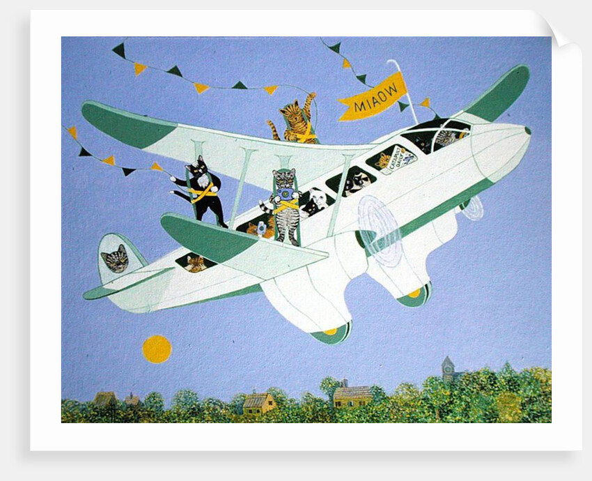 Cat Air Show by Pat Scott