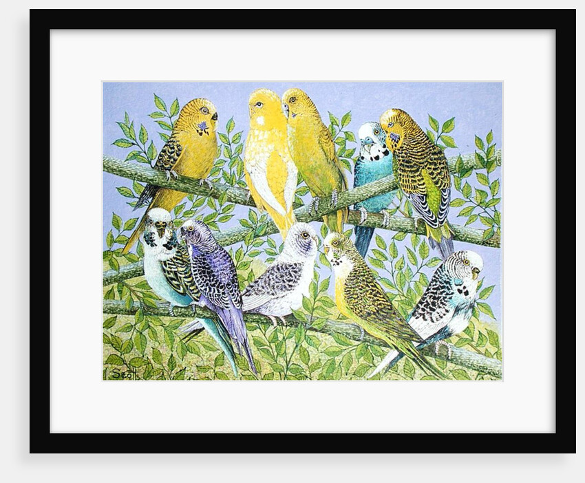 Sweet Talking by Pat Scott