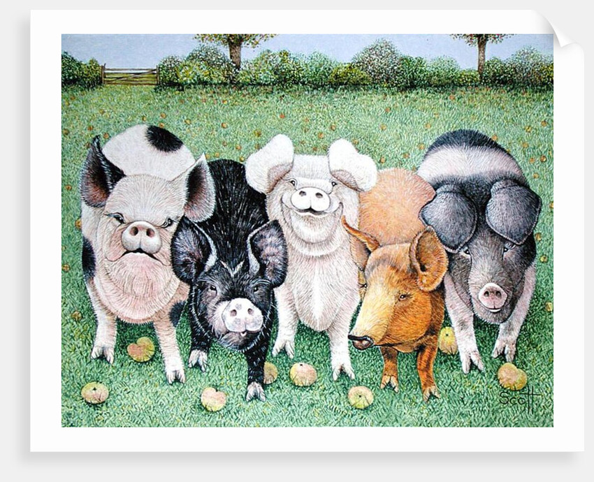 A Chorus Line by Pat Scott