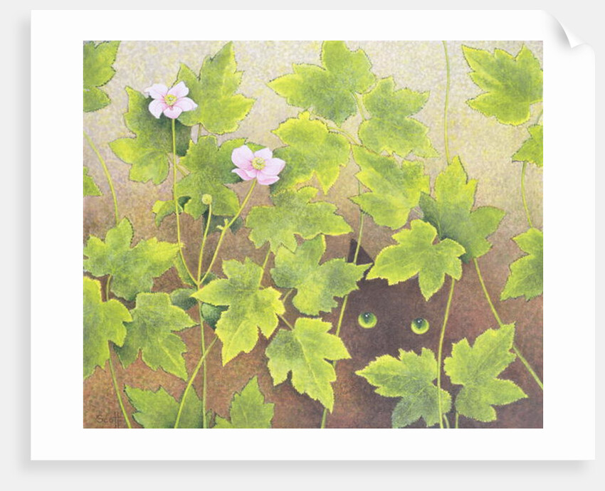 Watching by Pat Scott