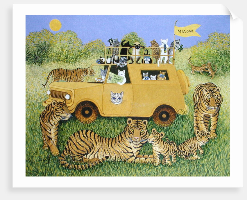 Cat Safari by Pat Scott