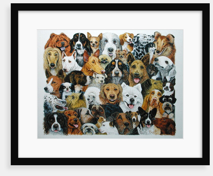 Dog Friends by Pat Scott