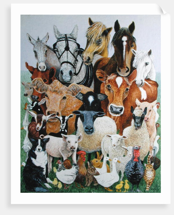 Animal Allsorts by Pat Scott