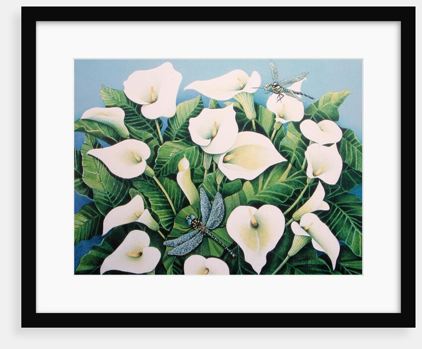 Dragon Flies by Pat Scott