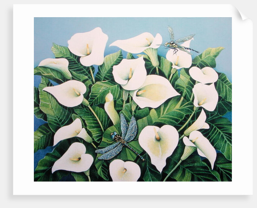 Dragon Flies by Pat Scott