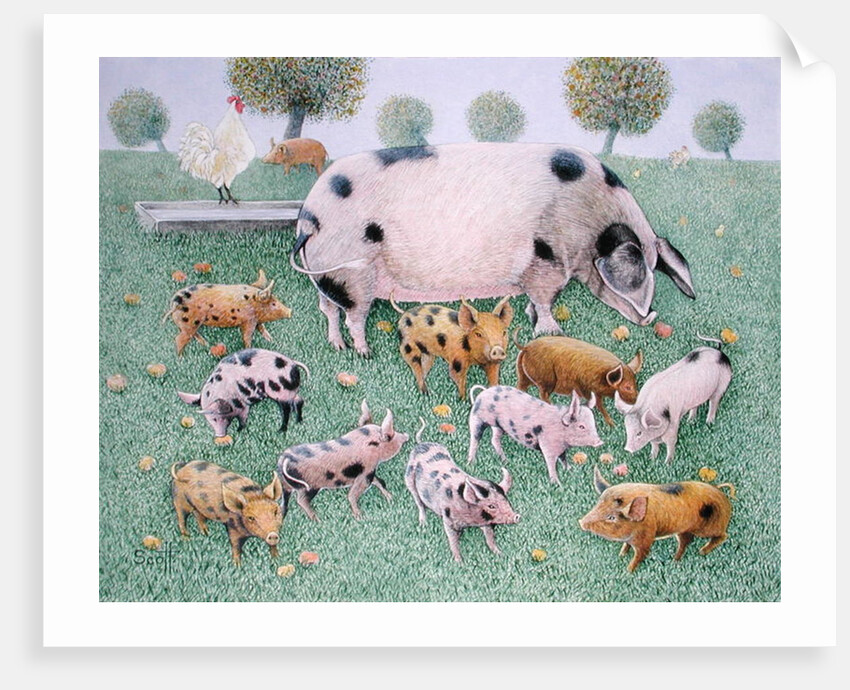 The Apple Feast by Pat Scott