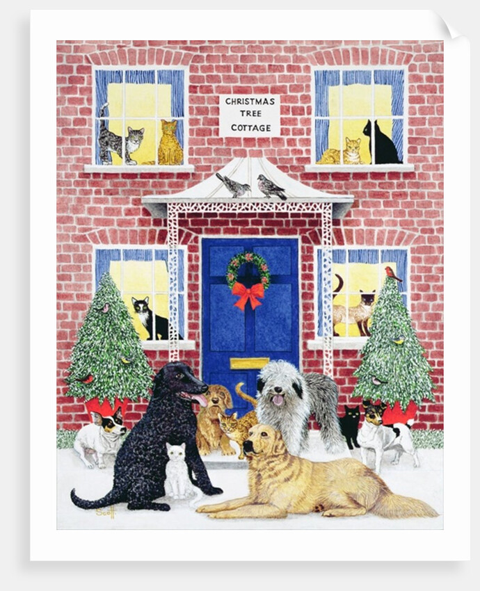 Christmas Warmth by Pat Scott