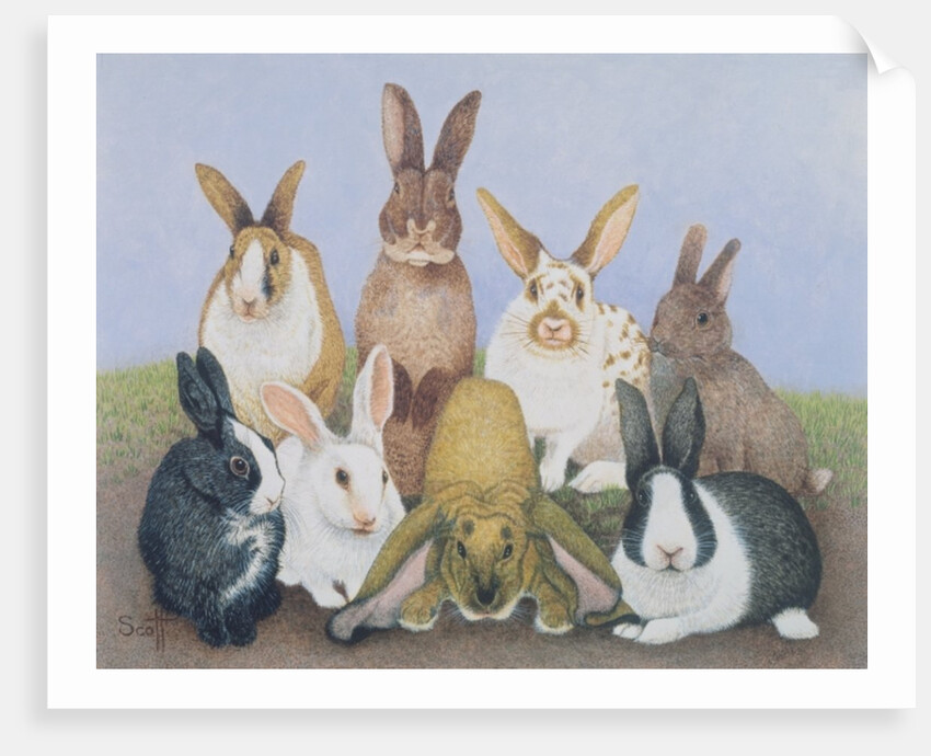 We are All Ears by Pat Scott