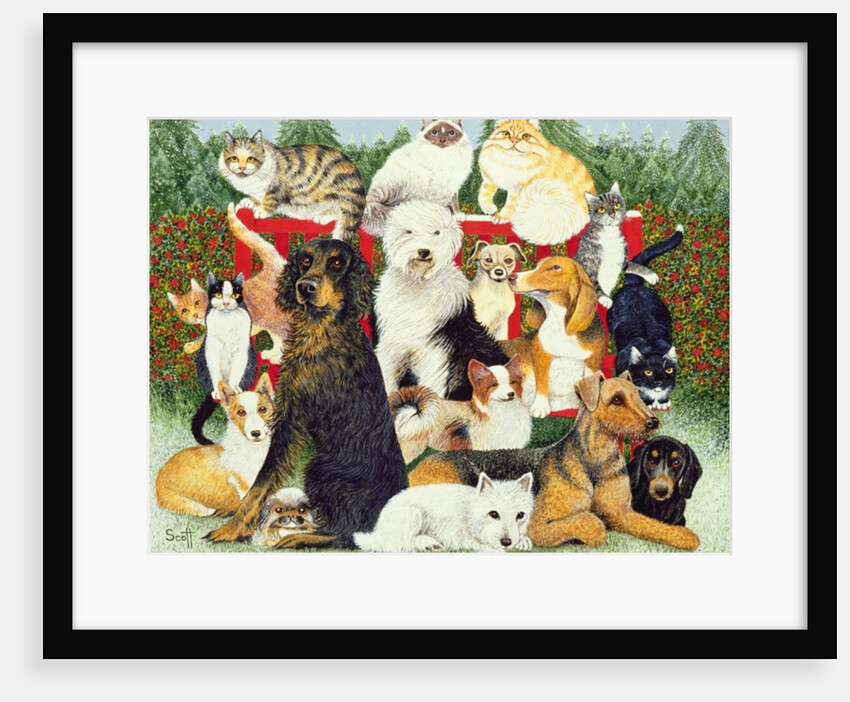 Christmas Peace by Pat Scott