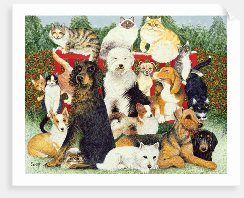 Christmas Peace by Pat Scott