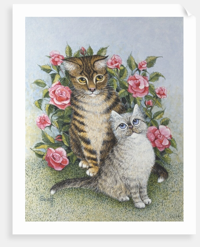 Attraction by Pat Scott