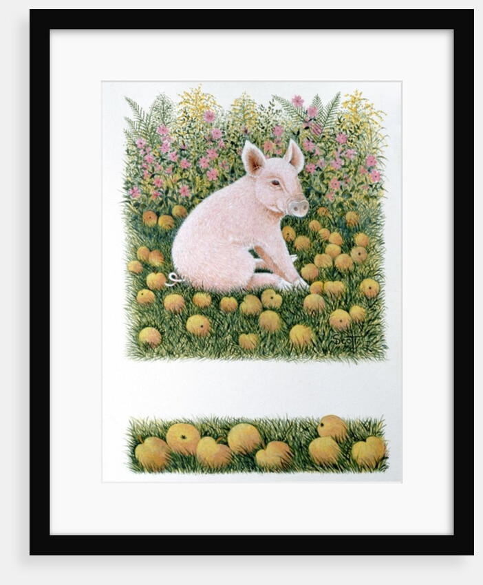 One More Apple by Pat Scott