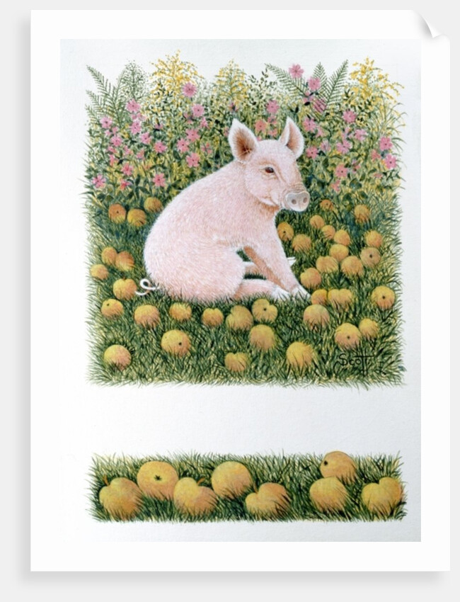 One More Apple by Pat Scott