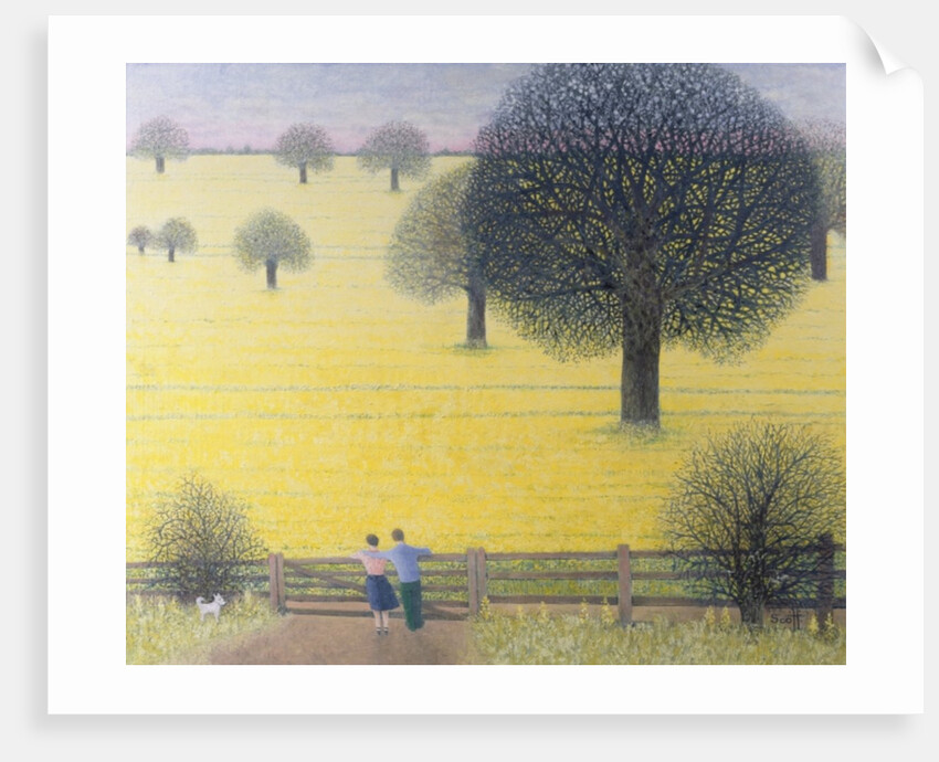 All That Yellow by Pat Scott