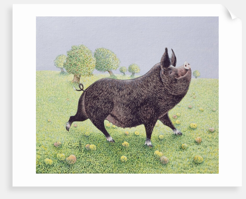 Feeling Great by Pat Scott