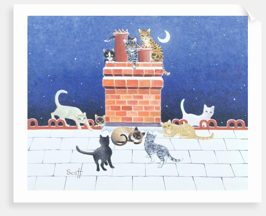 Midnight Madness by Pat Scott