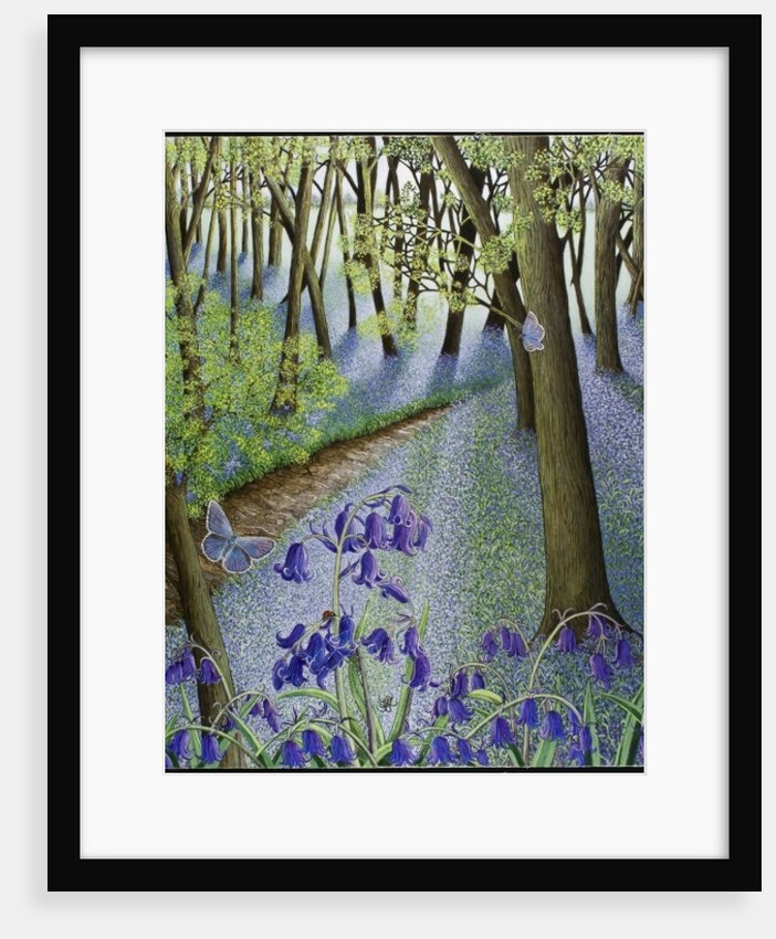 A Fresh Start, 2011 by Pat Scott