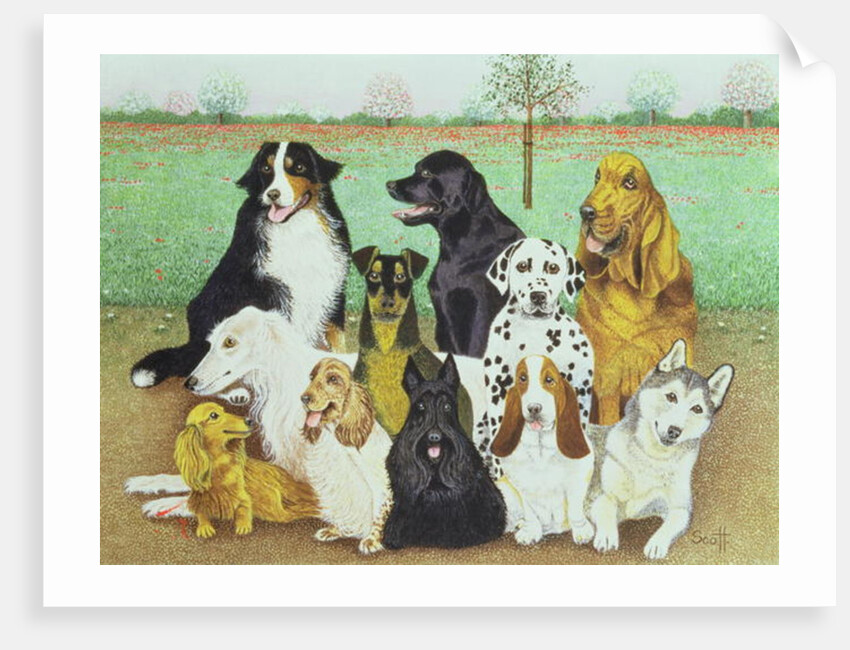 Dog Watch by Pat Scott