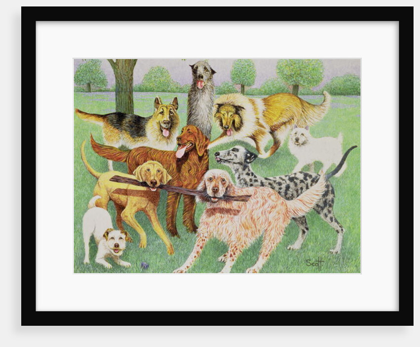 Catch and Carry by Pat Scott