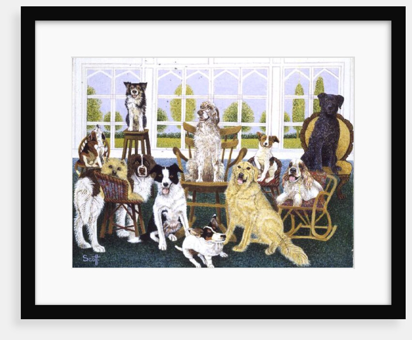 In the Dog House by Pat Scott
