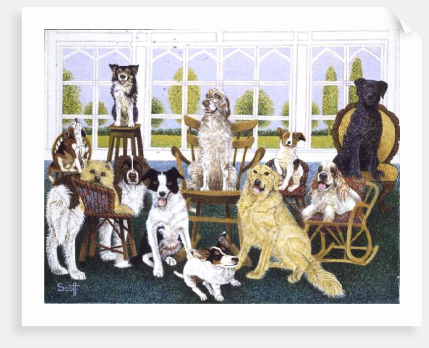 In the Dog House by Pat Scott