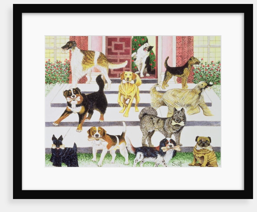 Party Presents by Pat Scott