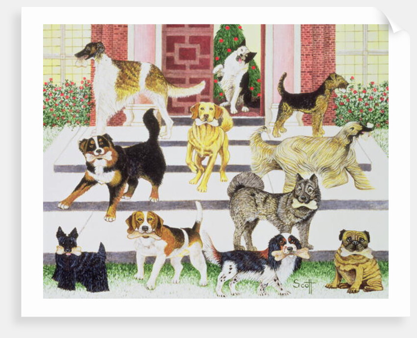 Party Presents by Pat Scott