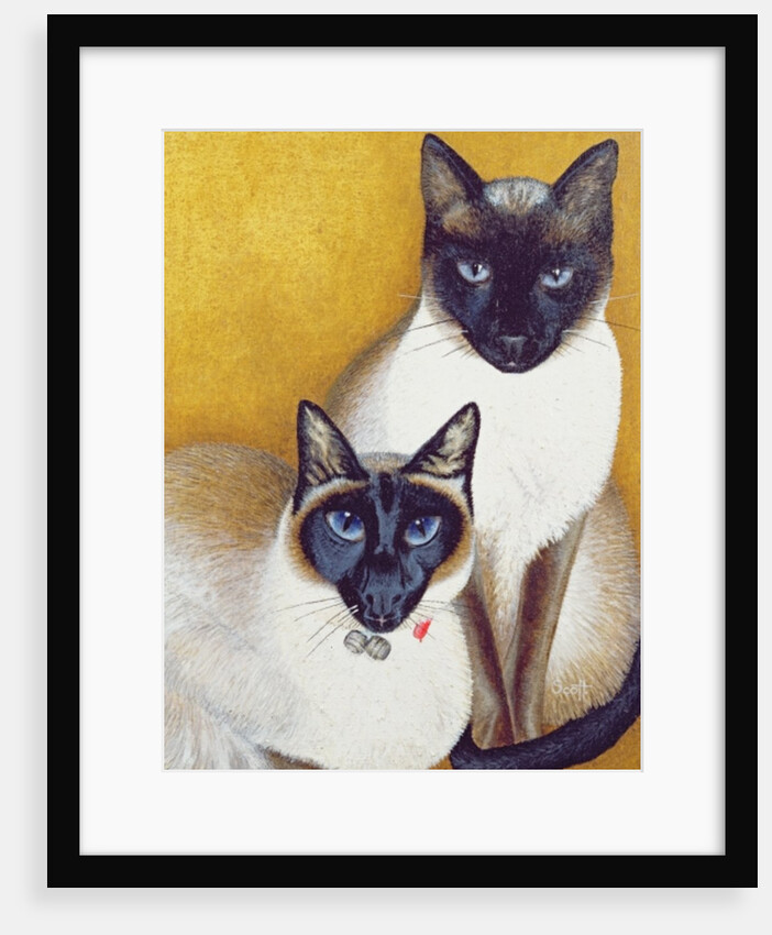 Mavis and Barnaby by Pat Scott