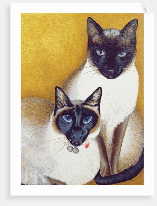 Mavis and Barnaby by Pat Scott