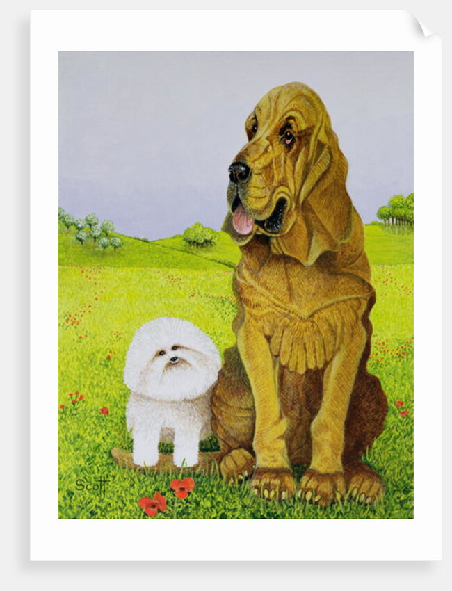 In Charge by Pat Scott