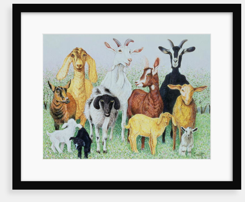 In Clover by Pat Scott