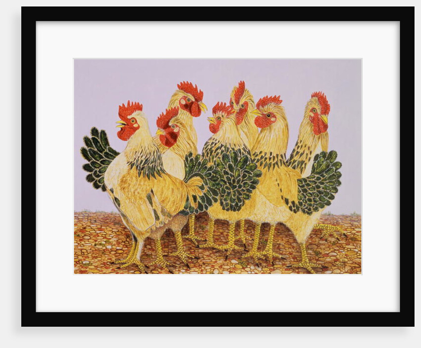 Strutters Ballet by Pat Scott