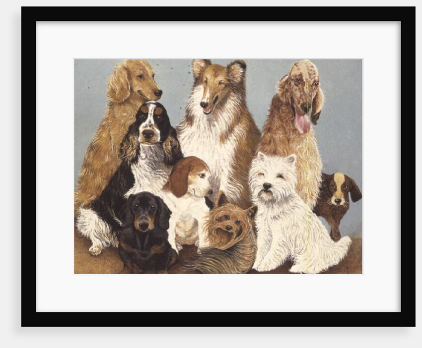 Dogs' Dinner by Pat Scott