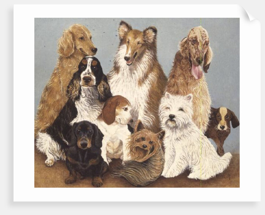 Dogs' Dinner by Pat Scott