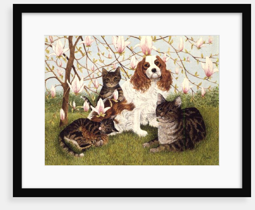 Constance's Tree by Pat Scott