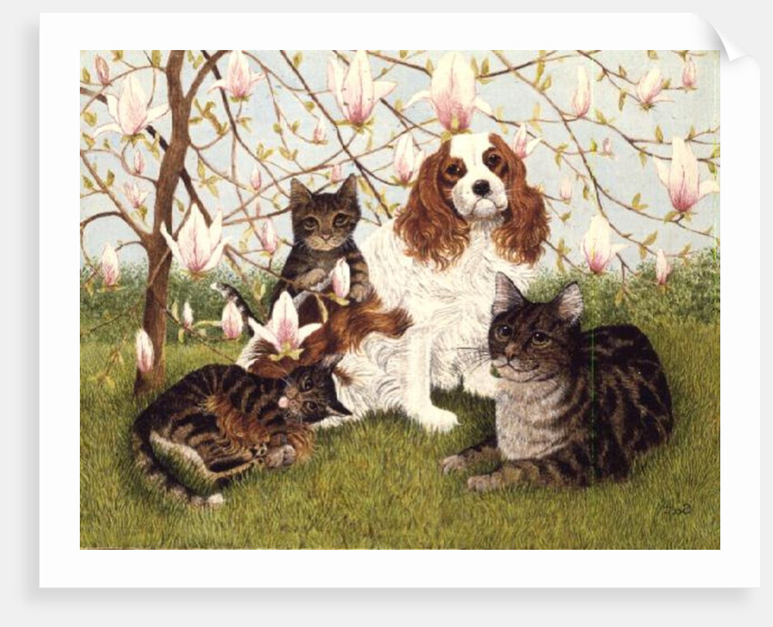 Constance's Tree by Pat Scott