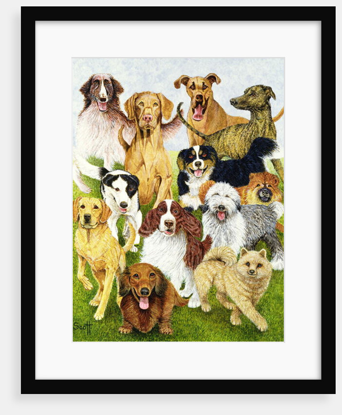 Dog Days by Pat Scott