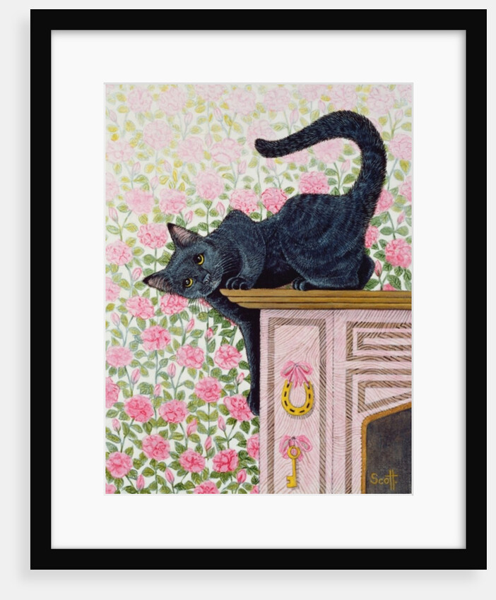 Coming Up Roses by Pat Scott