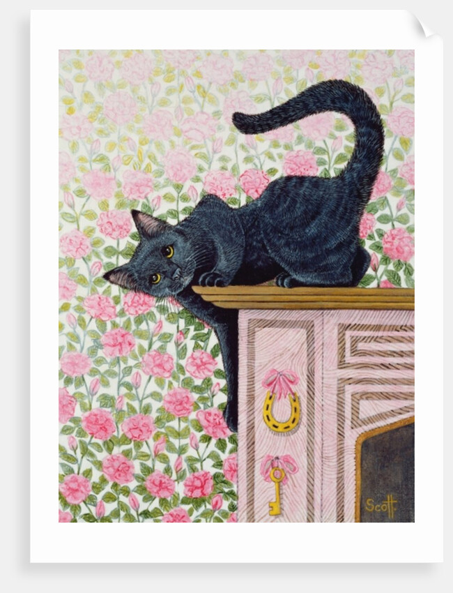 Coming Up Roses by Pat Scott