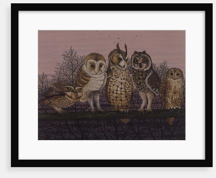 Tu-whit Tu-whooing by Pat Scott