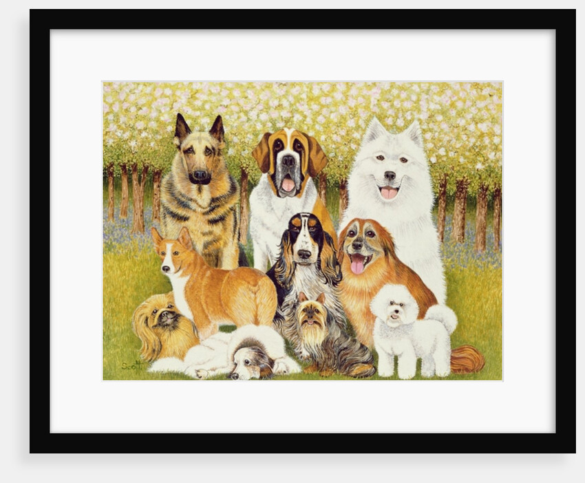 Dogs in May by Pat Scott