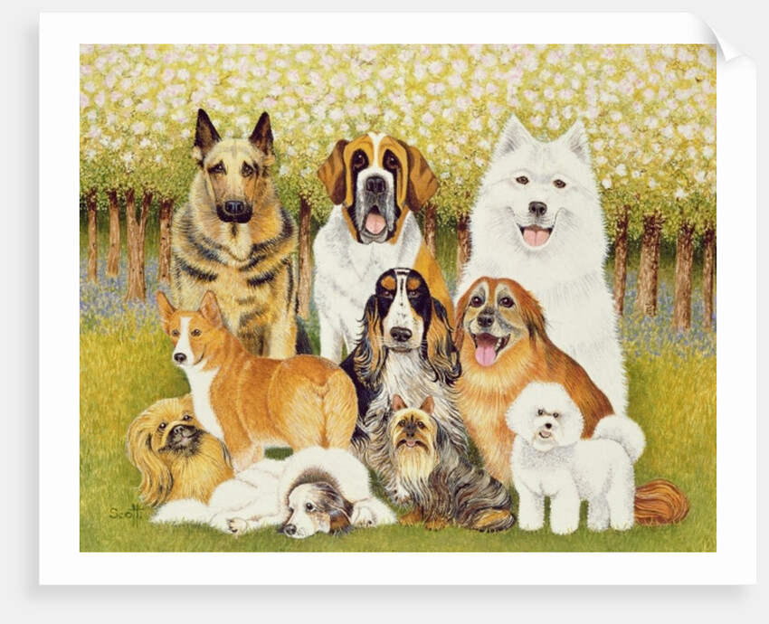 Dogs in May by Pat Scott