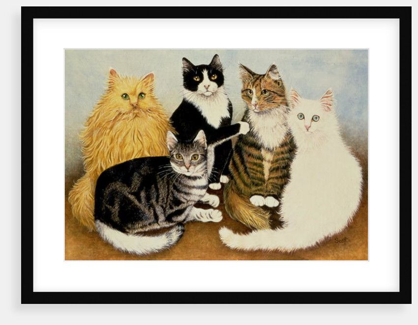 Cat's Cradle by Pat Scott