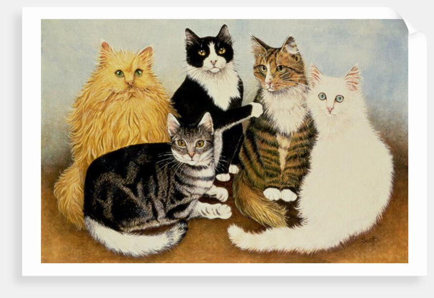 Cat's Cradle by Pat Scott