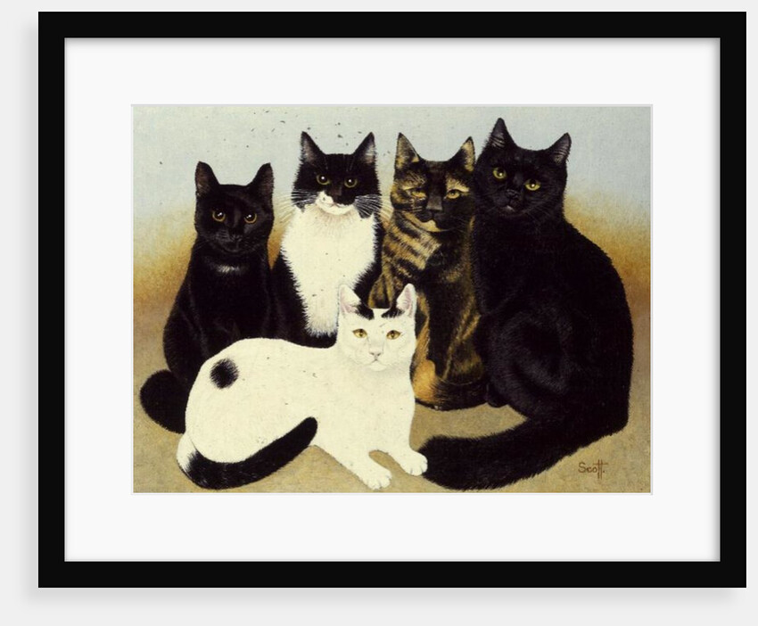 Miss Cox's Cats by Pat Scott