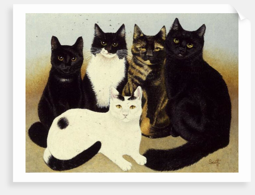 Miss Cox's Cats by Pat Scott