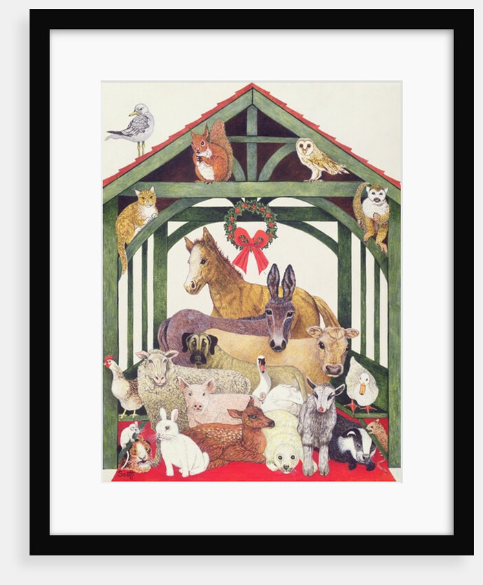 Sheltered by Pat Scott